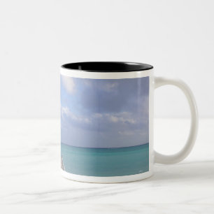 BAHAMAS, Grand Bahama Island, Ostseite: Zweifarbige Tasse
