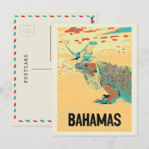 Bahamas Karibik, typisch Karibik Iguana Postca