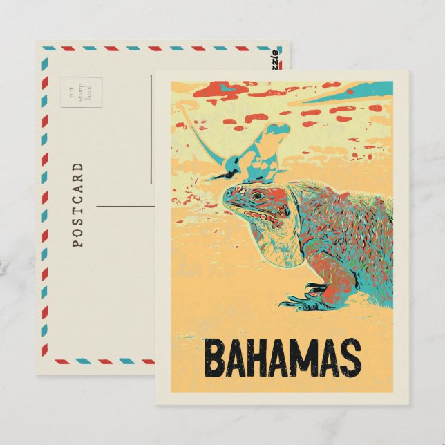 Bahamas Karibik, typisch Karibik Iguana Postca Postkarte (Vorne/Hinten)