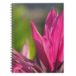 BAHAMAS, New Providence Island, Nassau: Paradies Notizblock