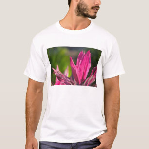 BAHAMAS, New Providence Island, Nassau: Paradies T-Shirt