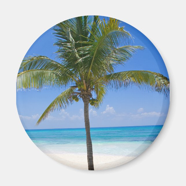 Bahamas Palm Magnet (Vorne)