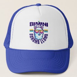 Bahamas Souvenir Geschenk: Bimini Bahamas Bahama L Truckerkappe