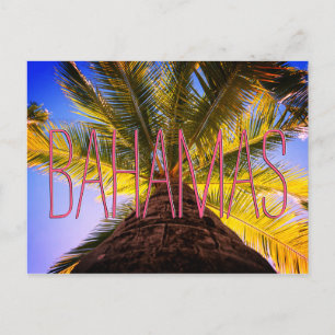 Bahamian Tree Postkarte