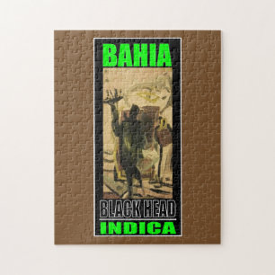 BAHIA BLACK HEAD INDICA