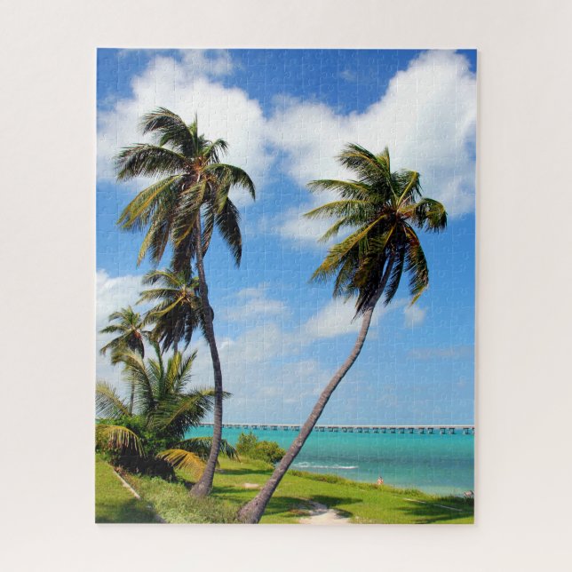 Bahia Honda Staat Park (Vertikal)