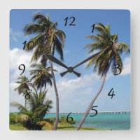 Bahia Honda Staat Park Florida Keys