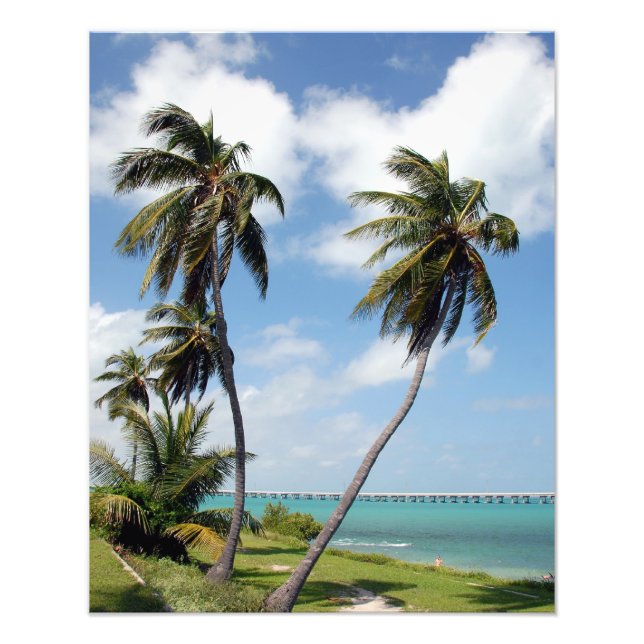 Bahia Honda State Park Florida Keys Imprimer Photo (Devant)