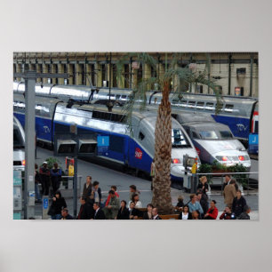 Bahnhof Lyon. Paris, Frankreich Poster