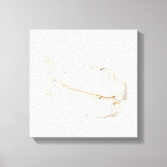Bai Shao Canvas Print Leinwanddruck (Vorderseite)