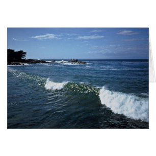 Baie de Monterey, la Californie