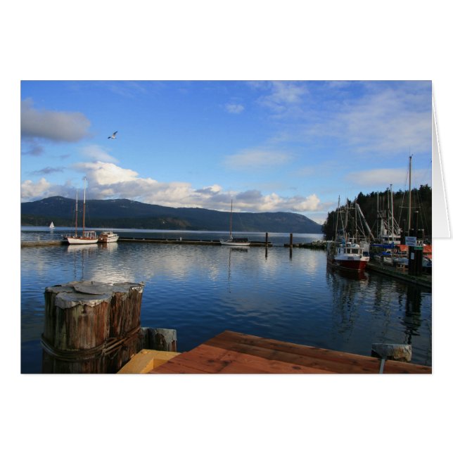 Baie Mill (Devant horizontal)