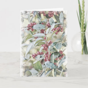 Baies Holly Froid En Carte De Noël Neige