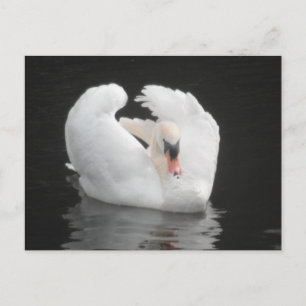 Baignade par carte postale