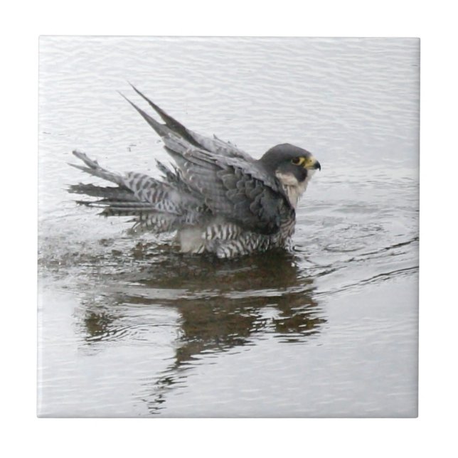 Baigner le petit carreau de céramique de beauté (Devant)