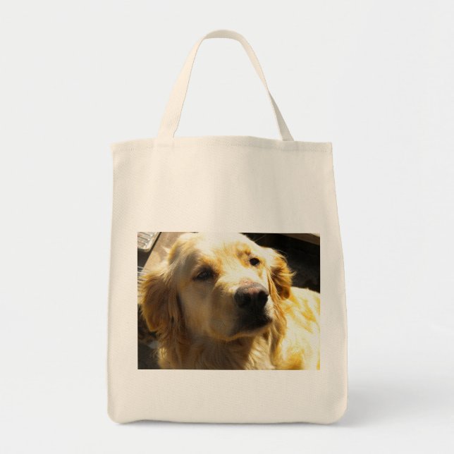 Bailey das golden retriever tragetasche (Vorne)