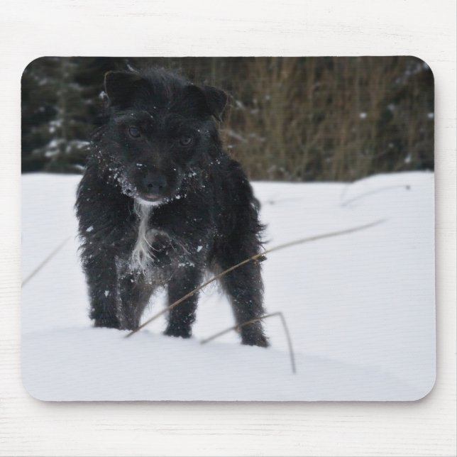 Bailey das Patterdale Terrier Mousepad (Vorne)