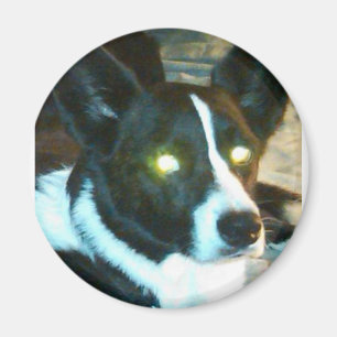 Bailey Magnet