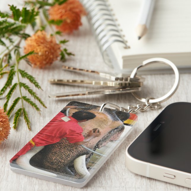 Bain Eléphant ... Ayutthaya, Thaïlande (Devant droit)