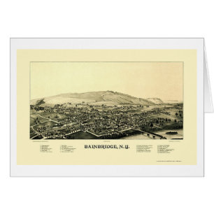 Bainbridge, carte panoramique de NY - 1889