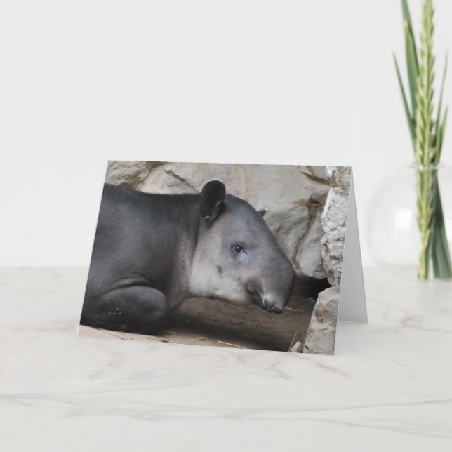 Bairds Tapir-Gruß-Karte Karte (Vorderseite)