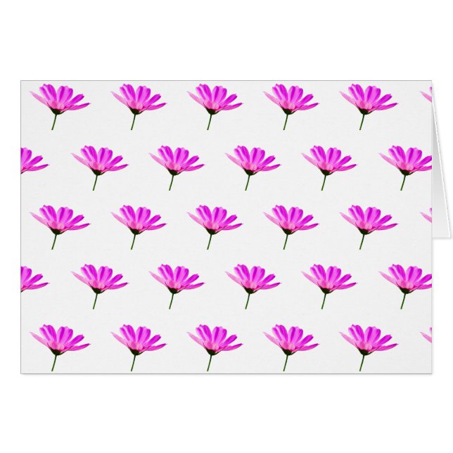 Baise rose (Devant horizontal)