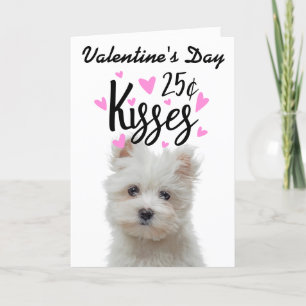 Baisers de carte de la Saint-Valentin...du chien