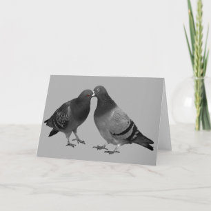 Baisers de la carte de voeux de pigeons