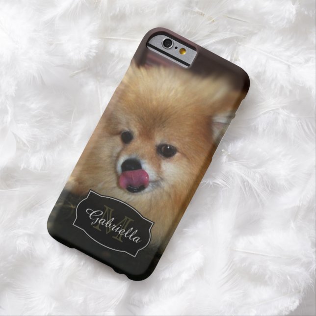 Baisers de Poméranie : Personnalisé: Coque iPhone  (In Situ)