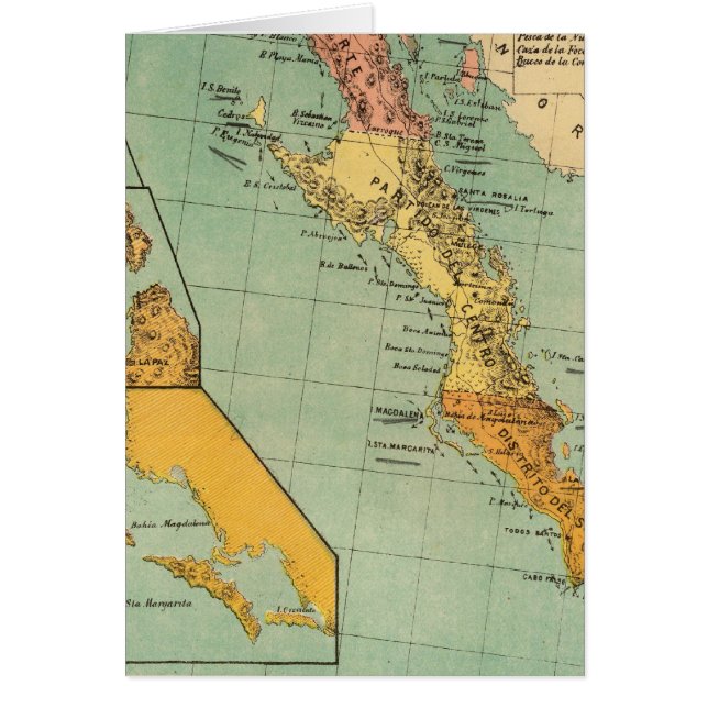 Baja California, Mexiko (Vorne)