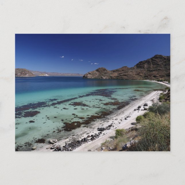Baja Conception Bay Postkarte (Vorderseite)