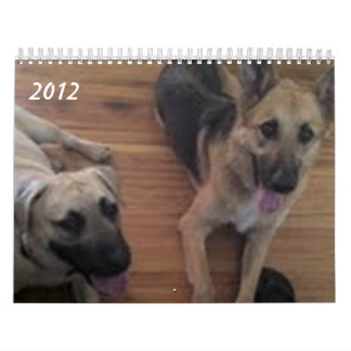 Baja/Herkules Kalender