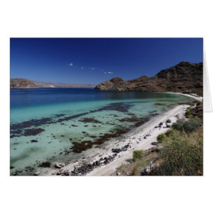 Baja Konzeptions-Bucht