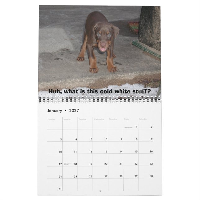 Bakari Dobermann 2008 Kalender (Jan 2027)