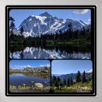 Baker-Snoqualmie National Forest Collage Poste