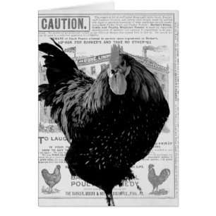 Baker's Special Poultry