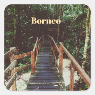 Bako Nationalpark - Borneo Quadratischer Aufkleber