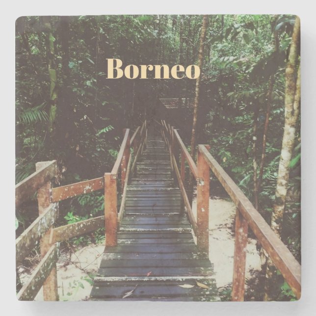 Bako Nationalpark - Borneo Steinuntersetzer (Vorderseite)