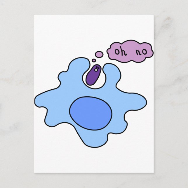 Bakterien Phagozytose Postkarte (Vorderseite)