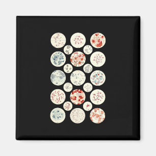 Bakterienmikrobiologie winzig magnet