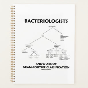 Bakteriologen kennen Gram-Positive Klassifikation Planer