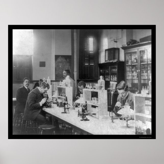 Bakteriologie Labrador an der Howard University 19 Poster (Vorne)