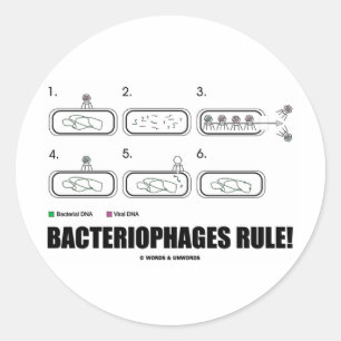 Bakteriophage Regel! (Bakterien-Virus-DNA) Runder Aufkleber