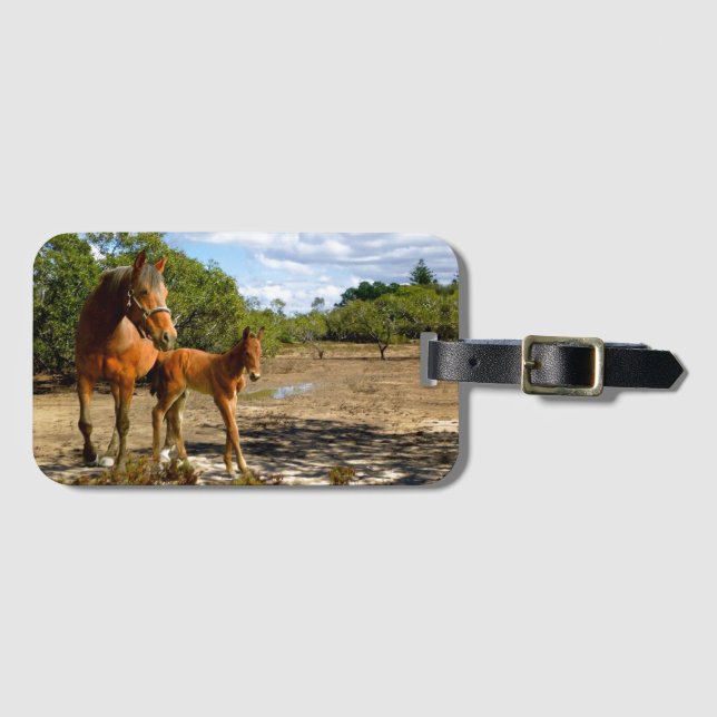 Balance Gepäckanhänger (Vorderseite (Horizontal))