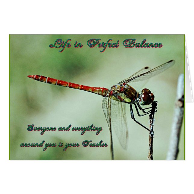 Balance with Nature (Vorderseite (Horizontal))