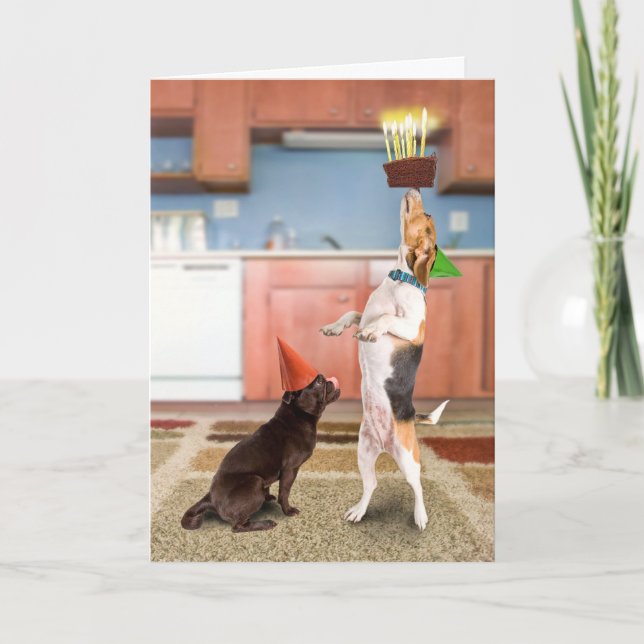 Balancierender Kuchen Karte (Vorderseite)