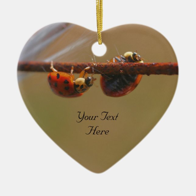 Balancing Ladybugs Niedliche Natur Keramik Ornament (Vorne)