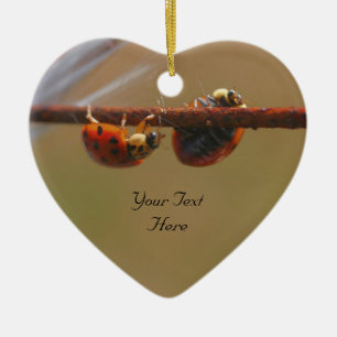 Balancing Ladybugs Niedliche Natur Ornament