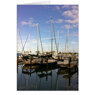 Balbuzard pêcheur au Masthead