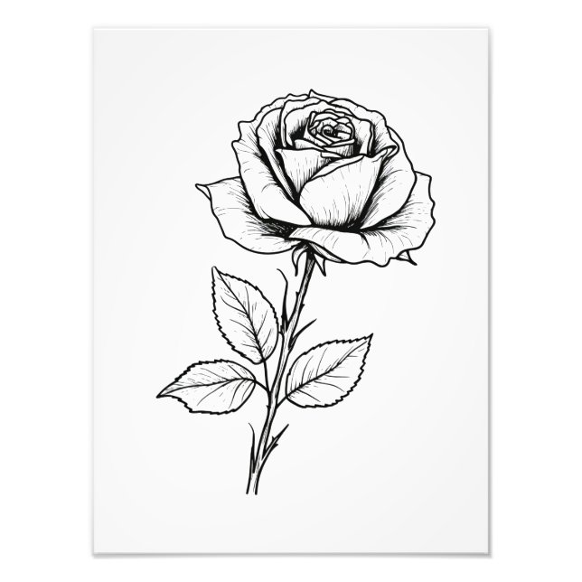 Balck White Rose Line Art Fotodruck (Vorne)